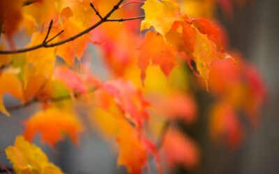 Momento de querernos.